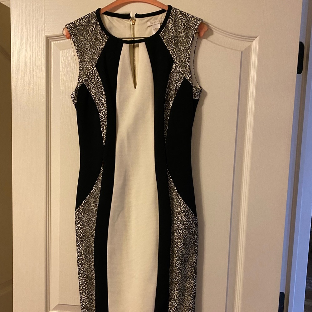 White House Black Market Dress